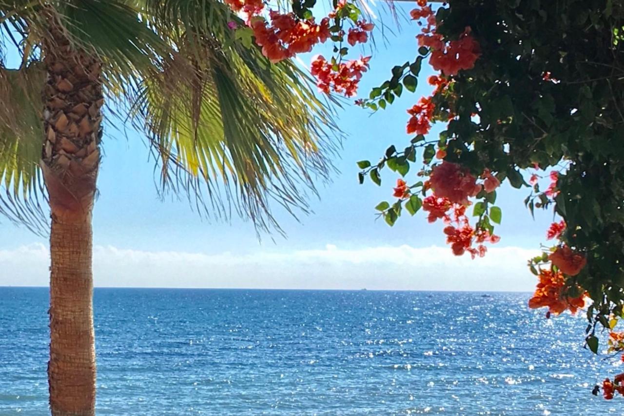 Marbella - Alicate Beachfront Apartment-9 エクステリア 写真